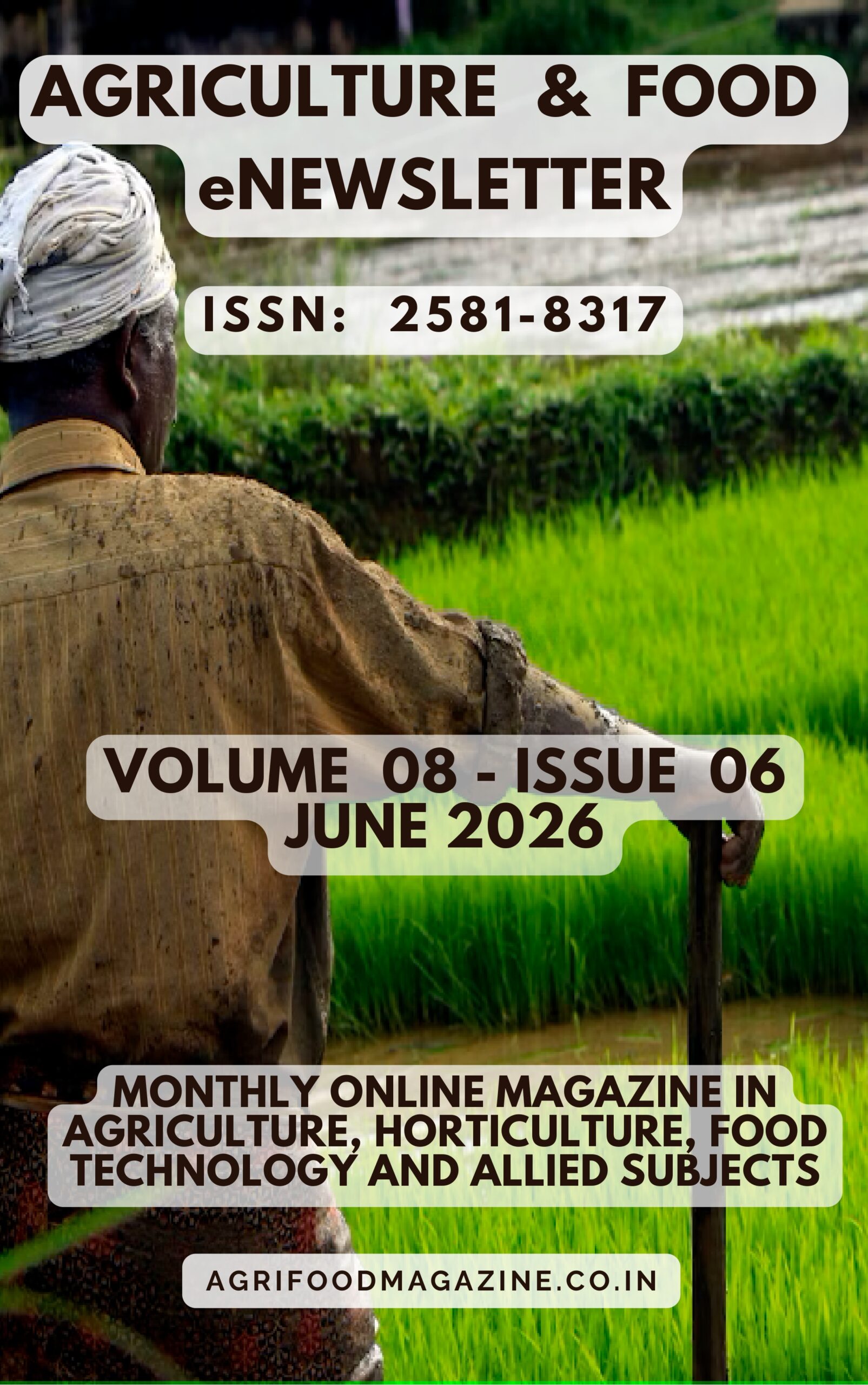 Volume 8 – Issue 6 – JUNE 2026